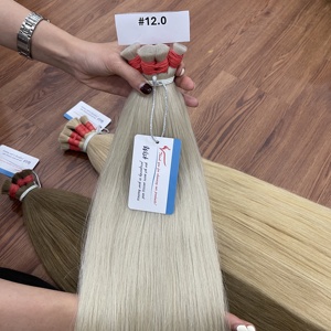 Extensiones de Cabello Humano Remy Vietnamita al por Mayor, Estilo Liso Natural, Cabello Multicolor para Trenzas - Product Image 2