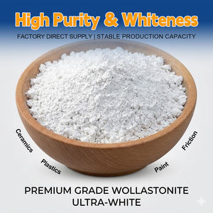 Poudre de wollastonite de haute pureté Prix de la wollastonite aciculaire à 200/325 mailles Wollastonite pour revêtements de remplissage en céramique et plastiques - Product Image 1