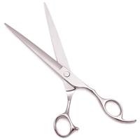 Ciseaux de coiffure professionnels en acier inoxydable pour salon et barbier