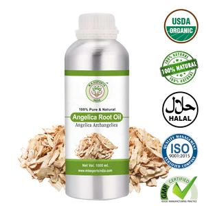 Huile de racine d'angélique de qualité thérapeutique Huile essentielle d'angélique de haute qualité - Product Image 2