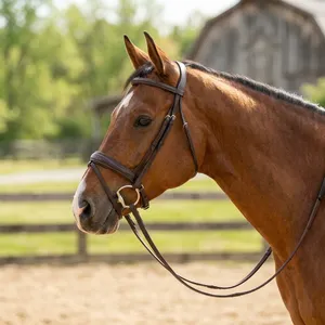 Bridon de cheval réglable en cuir durable avec rênes respirantes – Équipement équestre - Product Image 6