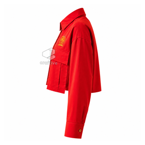 Chemise de bureau formelle pour femme NSPDK, chemise de travail professionnelle à manches longues boutonnée pour les réunions d'affaires et le port au bureau - Product Image 3