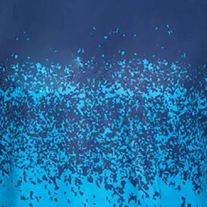 Camiseta de compresión de manga larga para hombre, para entrenamiento, gimnasio, MMA y deportes. - Product Image 6