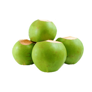 มะพร้าวน้ำหอมสดเกรดพรีเมียมสำหรับผู้ซื้อระหว่างประเทศ - Product Image 1
