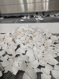 Vietnam IQF Frozen Coconut Meat Natural Raw Ingredient For Food Processing <b>Dessert</b> Smoothie And Cooking Use - Product Image 2