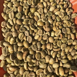 Granos de café verde Robusta y Arábica puros de Vietnam al por mayor, completamente lavados (pulidos en húmedo), calidad especial, tamaño 16–20 - Product Image 6