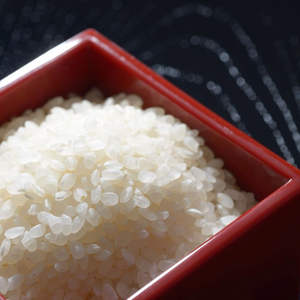 Arroz Calrose Orgánico Premium al por Mayor en Sacos de 25kg y 50kg, Grano Pulido de Alta Calidad, Sin OMG, para Exportación a un Precio Considerable - Product Image 4