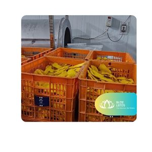 [VENTA EXITOSA] Mango Deshidratado Suave, Bocadillo de Fruta Tropical Masticable para Comer a Diario, Actividades de Viaje, Compartir en Familia, Vietnam - Product Image 1