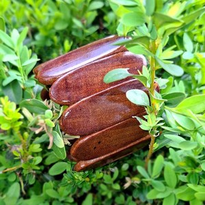 Collection de bijoux en bois haut de gamme Craft Emporium Exports, comprenant des bracelets en bois Sangria sculptés à la main avec des décorations en laiton, finition lisse. - Product Image 2