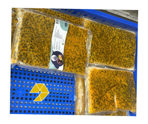 Cubes de fruit de la passion congelés 100% purs, sans eau ajoutée, fruit de la passion congelé du Vietnam pour boisson, fruit de la passion jaune pur - Product Image 1