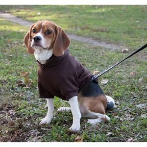 Felpa con Cappuccio per Animali Domestici in Cotone Peluche alla Moda, Comoda e Calda - Product Image 5