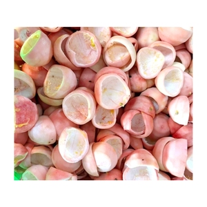 ผลไม้แห้งเสาวรสหวานกรอบอร่อย ยอดขายดีที่สุด เหมาะสำหรับเป็นท็อปปิ้งขนมหวาน หรือเป็นของว่างแสนอร่อย ผลไม้เมืองร้อนเกรดพรีเมียม เคี้ยวเพลิน - Product Image 2