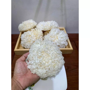 Champignon Tremella séché blanc, ingrédient pour les recettes de plats sucrés, production de boissons, Vietnam - Product Image 5