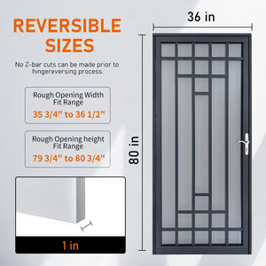 Puerta de seguridad de acero de lujo (EF) ALL, 36 x 80, puerta de seguridad contra tormentas de hierro, DISPONIBLE - Product Image 3