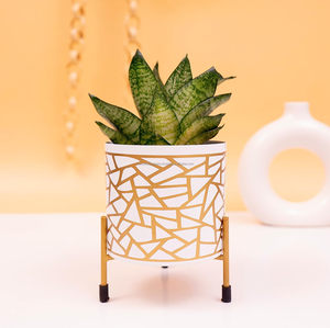 Pot de fleur à impression personnalisée avec support Jardinière d'intérieur en métal pour vaisselle à prix de gros Jardinières pour accent Pots de décoration pour le bureau/la maison - Product Image 6