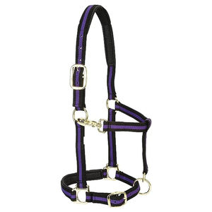 Black and Blue Nylon Horse <b>Halter</b> with Gold Hardware Adjustable Fit Equestrian Head Collar Customized Designed English Horse - Product Image 4