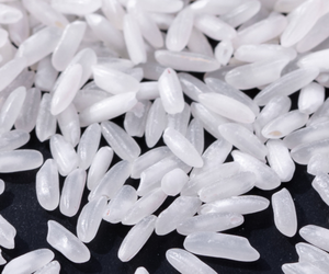 Riz Calrose Premium à grains moyens, riz blanc collant / Riz Calrose de haute qualité pour la vente en gros - MaxRice - Product Image 1