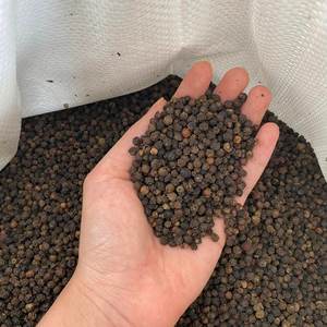 Poivre noir sec de bonne qualité 550 GL ou poivre noir séché léger personnalisé, poivre noir de haute qualité - Product Image 6