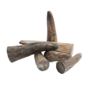 Corne de buffle naturelle écologique, pointe polie, design rustique moderne, haute qualité, noir - Product Image 3