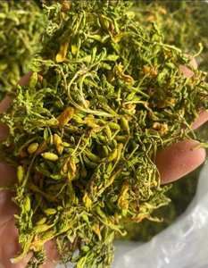 Fleur de papaye séchée de haute qualité, un remède naturel à base de plantes. Fleur de papaye séchée pour le thé et les tonifiants, aux bienfaits incroyables. - Product Image 4