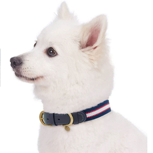 High Performance Long Term Use <b>Dogs</b> Leather Collar Trending Fashion High Durable Best Selling <b>Dogs</b> Collar In Low MOQ - Product Image 2