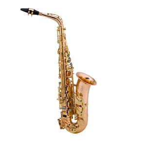 Saxofón Alto Profesional, Instrumento de Viento de Madera - Product Image 1