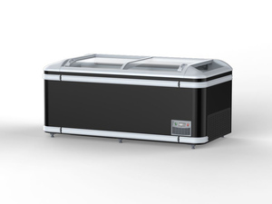 Congelador Vertical con Puerta de Vidrio de Gran Capacidad, Congelador de Exhibición para Almacenamiento <span class=keywords><strong>en</strong></span> Frío - Product Image 2