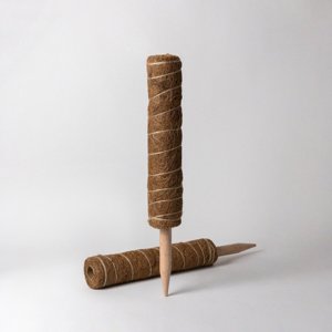 แท่งใยมะพร้าวธรรมชาติสำหรับรองรับต้นไม้ - Product Image 5