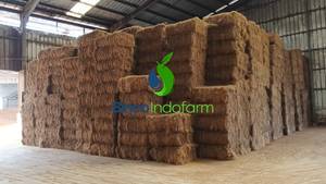 ใยมะพร้าวอัดแท่ง 100% ธรรมชาติ ยี่ห้อ BINCO สำหรับการกรองและการใช้งานในอุตสาหกรรม อายุการเก็บรักษา 24 เดือน รับผลิตแบบ OEM - Product Image 2