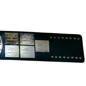 Custom Championship Belt with <b>Engraved</b> Plates Personalized Title Belt Premium Quality Sports <b>Trophy</b> - Product Image 5