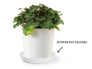Flower Pot Saucers PP Floor Multiple Sizes Lightweight Wholesale <b>Plastic</b> Gardening Nursery Home Decor Hotel Lobby Indoor Outdoor - Product Image 1