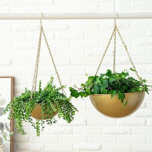 Décoration de chambre et de jardin, vente chaude, parfait pour la décoration, pot de fleurs rond pour planter des fleurs, meilleur prix - Product Image 3