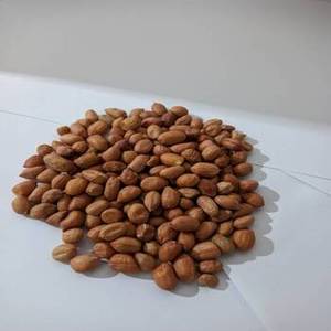 Cacahuetes Tostados Indios de Alta Calidad para Empresas de Procesamiento de Alimentos, Programas de Compra al por Mayor y Acuerdos de Suministro para Exportación - Product Image 1