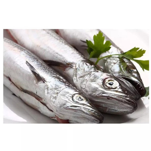 Promotion : Hake frais congelé entier, filet de Hake congelé - Product Image 3