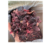Pemasok Bunga Hibiscus Segar Premium Vietnam - Bahan Herbal Rosella Berkualitas Tinggi, Umur Simpan 12 Bulan, Grosir untuk Ekspor
