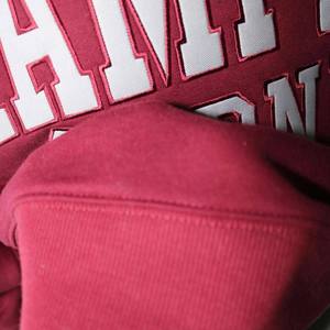 เสื้อสเวตเชิ้ตคอเต่าผู้หญิง Hampden Sydney ผ้าฝ้ายฟลีซพรีเมียมทรงโอเวอร์ไซส์ ผลิตโดยโรงงานผู้ผลิตเสื้อผ้า OEM - Product Image 3