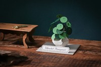 Miniatur DIY 4R ramah lingkungan buatan tangan Kit kustom furnitur dalam ruangan Model kertas hijau selamanya untuk kerajinan kertas ruang dalam ruangan