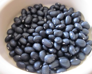 Haricots noirs de qualité supérieure en gros, origine Autriche, emballage en vrac 50 kg, sains, disponibles en stock - Product Image 4