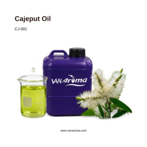 Huile d'aromathérapie pure et naturelle de Cajeput Premium (CJ-001) Van Aroma - Product Image 1