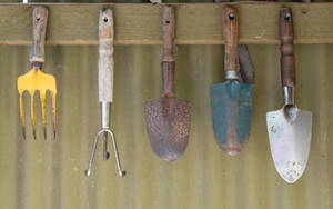 Ensemble d'outils de jardinage en acier inoxydable pour l'entretien des plantes et le jardinage domestique - Product Image 2