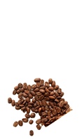 DHPONE 烘焙咖啡豆 80% 罗布斯塔+20% 阿拉比卡 中度烘焙 辛苦味型 含咖啡因 1.20% 咖啡因 V60 杯装 高品质