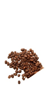 DHPONE เมล็ดกาแฟคั่ว 80% โรบัสต้า+20% อาราบิก้า คั่วระดับกลาง รสชาติกลมกล่อม สำหรับ V60 คัพ คุณภาพสูง เกรดส่งออก เวียดนาม - Product Image 5