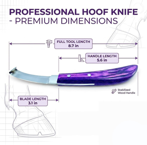 Equine Tools Direct Cuchillo para Pezuñas de Doble Filo, Acero Inoxidable Magnético J2 420, Para Mano Derecha, Mango Ergonómico Morado - Product Image 4