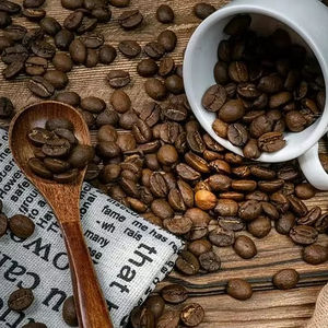 Café Arábica Orgánico Tostado y Molido de Vietnam, Certificado ISO 22000, Grado G1/G2, Suministro a Granel de 1000 kg, Lam Dong, Vietnam, TNFOOD - Product Image 1