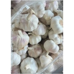 Normal Beyaz veya Saf Beyaz Sarımsak Sebzeleri Sağlıklı Faydaları Olan Sarımsak Çiğ Halinde Yenilir Çoklu Paket - Product Image 3