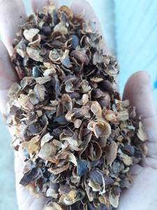 Cáscara de Café Natural, Materia Prima Versátil para Agricultura e Industria |   Biorcombustible Eficiente y Ecológico - Product Image 5