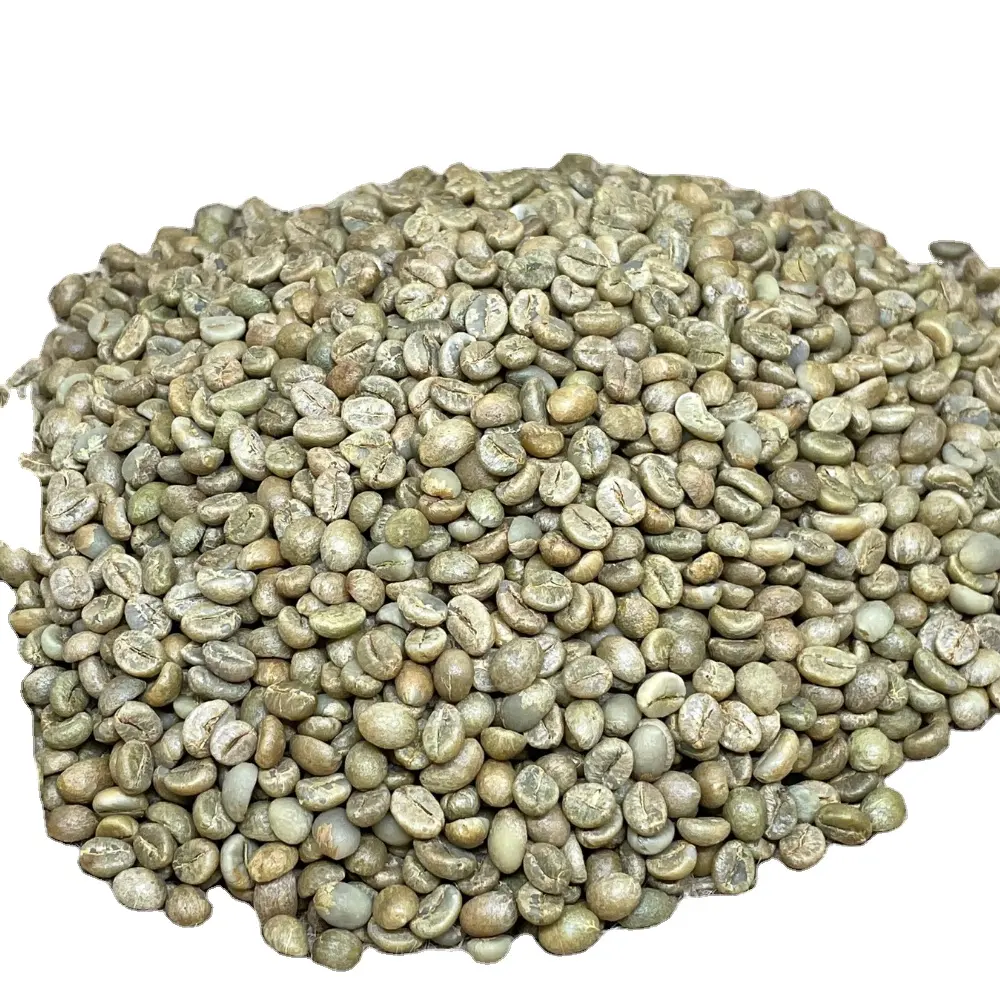 Granos de café verde Robusta Premium Vietnamita Granos de café verde Robusta con proceso de miel de madurez 98% Nuevo cultivo 2023-2024