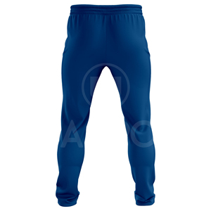 Fabricante de Uniformes de Cricket por Sublimación, Proveedor de Camisetas y Pantalones de Cricket Personalizados, Ropa Deportiva Profesional al por Mayor - Product Image 5