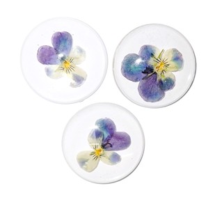 Cabujón de Plástico con Espécimen Real de Heartsease, Redondo, 38x38 mm, Base Plana Transparente, para Manualidades y Joyería - Product Image 1