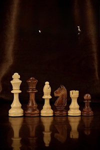 ILAHI's Eco-Friendly Rustic Polished Rectangle <b>Chess</b> <b>Board</b> Game 100% Handmade Pure Wood Animal/Love Style Customized Size <b>Chess</b> - Product Image 2